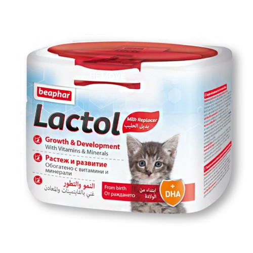 비아파 비어파 락톨 키티 250g 고양이분유
